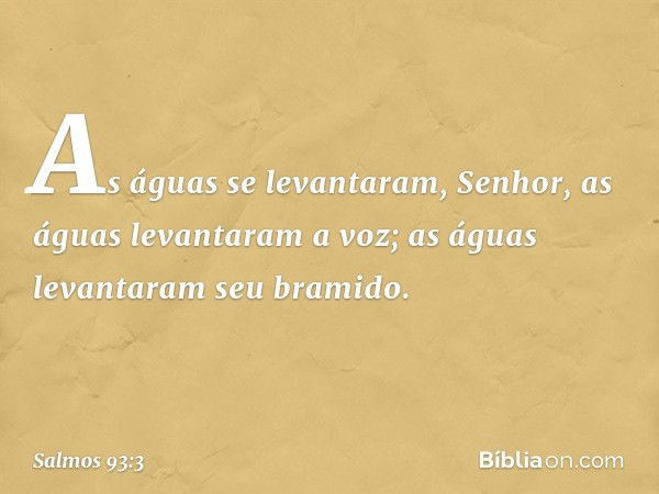 As águas se levantaram, Senhor,
as águas levantaram a voz;
as águas levantaram seu bramido. -- Salmo 93:3