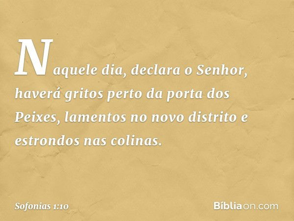 "Naquele dia", declara o Senhor,
"haverá gritos perto da porta dos Peixes,
lamentos no novo distrito
e estrondos nas colinas. -- Sofonias 1:10