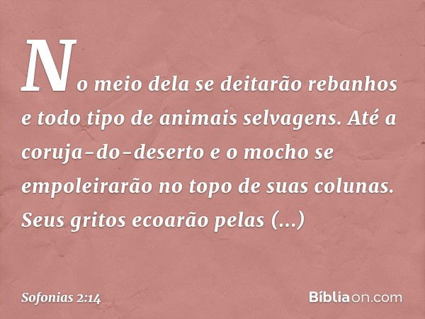 No meio dela se deitarão rebanhos
e todo tipo de animais selvagens.
Até a coruja-do-deserto e o mocho
se empoleirarão no topo
de suas colunas.
Seus gritos ecoar