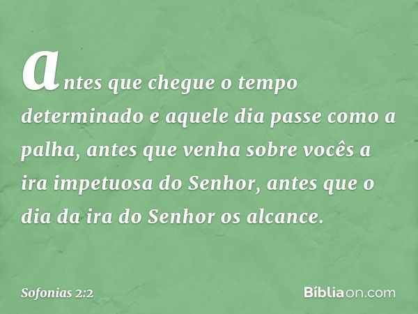 antes que chegue o tempo determinado
e aquele dia passe como a palha,
antes que venha sobre vocês
a ira impetuosa do Senhor,
antes que o dia da ira do Senhor
os