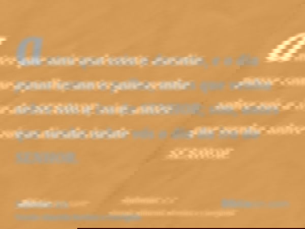 antes que saia o decreto, e o dia passe como a palha; antes que venha sobre vós a ira do SENHOR; sim, antes que venha sobre vós o dia da ira do SENHOR.