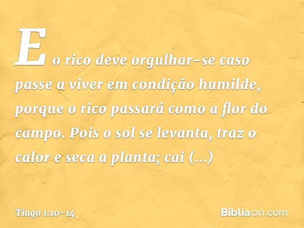 E o rico deve orgulhar-se caso passe a viver em condição humilde, porque o rico passará como a flor do campo. Pois o sol se levanta, traz o calor e seca a plant