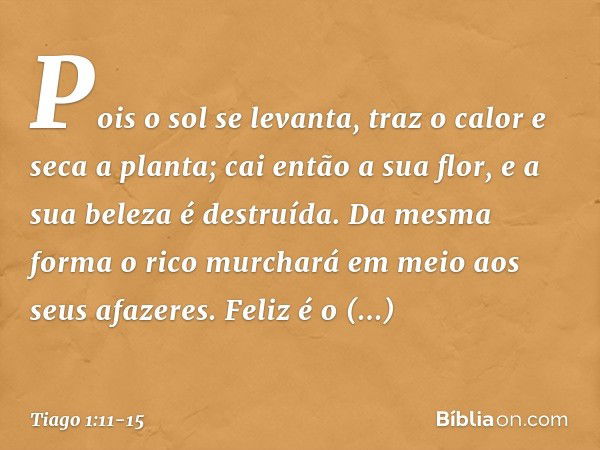 Pois o sol se levanta, traz o calor e seca a planta; cai então a sua flor, e a sua beleza é destruída. Da mesma forma o rico murchará em meio aos seus afazeres.