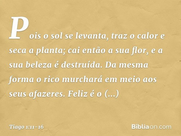 Pois o sol se levanta, traz o calor e seca a planta; cai então a sua flor, e a sua beleza é destruída. Da mesma forma o rico murchará em meio aos seus afazeres.