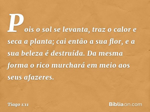 Pois o sol se levanta, traz o calor e seca a planta; cai então a sua flor, e a sua beleza é destruída. Da mesma forma o rico murchará em meio aos seus afazeres.