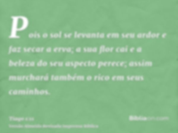 Pois o sol se levanta em seu ardor e faz secar a erva; a sua flor cai e a beleza do seu aspecto perece; assim murchará também o rico em seus caminhos.