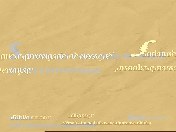 sabendo que a aprovação da vossa fé produz a perseverança;