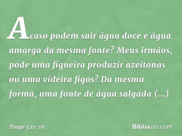 Acaso podem sair água doce e água amarga da mesma fonte? Meus irmãos, pode uma figueira produzir azeitonas ou uma videira figos? Da mesma forma, uma fonte de ág