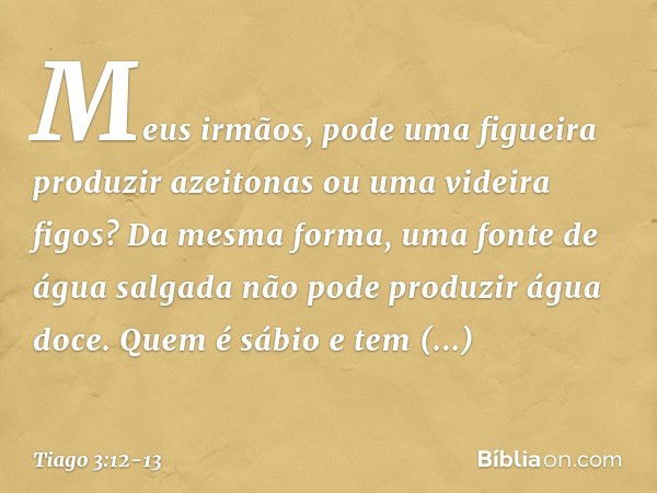 Meus irmãos, pode uma figueira produzir azeitonas ou uma videira figos? Da mesma forma, uma fonte de água salgada não pode produzir água doce. Quem é sábio e te