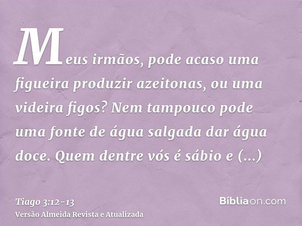 Meus irmãos, pode acaso uma figueira produzir azeitonas, ou uma videira figos? Nem tampouco pode uma fonte de água salgada dar água doce.Quem dentre vós é sábio