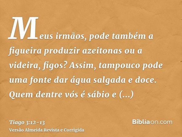 Meus irmãos, pode também a figueira produzir azeitonas ou a videira, figos? Assim, tampouco pode uma fonte dar água salgada e doce.Quem dentre vós é sábio e int