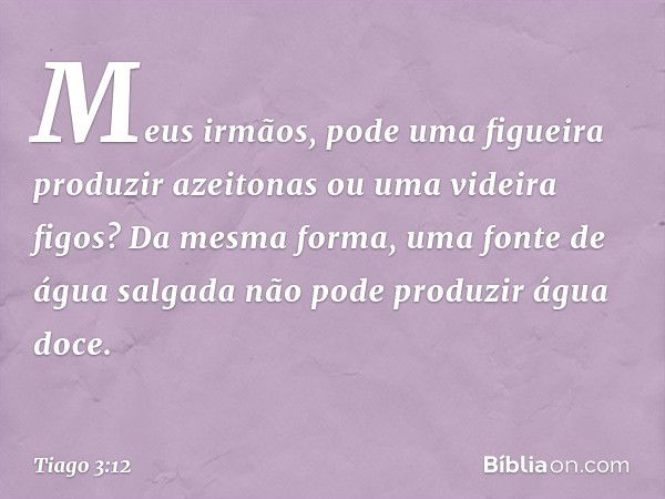 Meus irmãos, pode uma figueira produzir azeitonas ou uma videira figos? Da mesma forma, uma fonte de água salgada não pode produzir água doce. -- Tiago 3:12