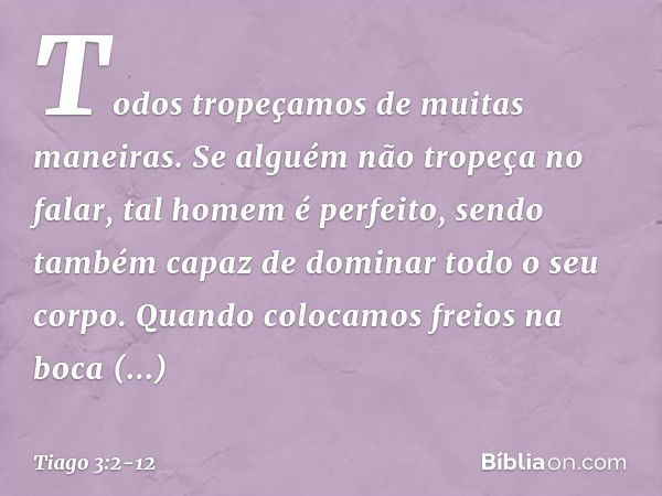 Todos tropeçamos de muitas maneiras. Se alguém não tropeça no falar, tal homem é perfeito, sendo também capaz de dominar todo o seu corpo. Quando colocamos frei