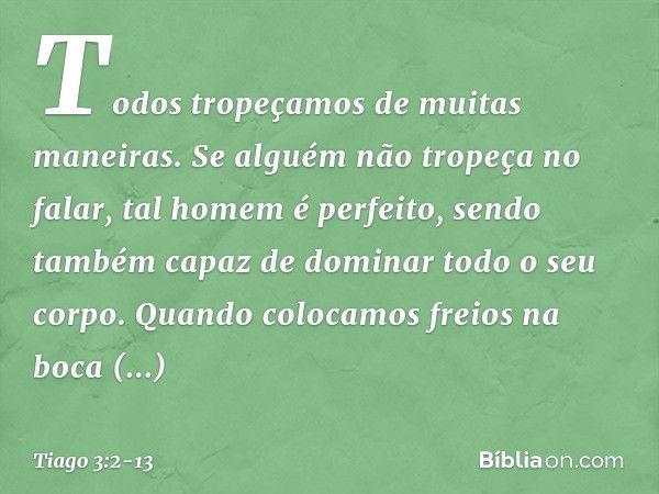 Todos tropeçamos de muitas maneiras. Se alguém não tropeça no falar, tal homem é perfeito, sendo também capaz de dominar todo o seu corpo. Quando colocamos frei