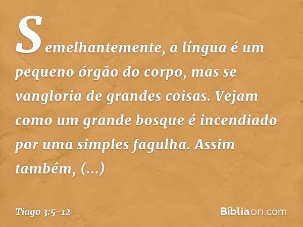 Semelhantemente, a língua é um pequeno órgão do corpo, mas se vangloria de grandes coisas. Vejam como um grande bosque é incendiado por uma simples fagulha. Ass