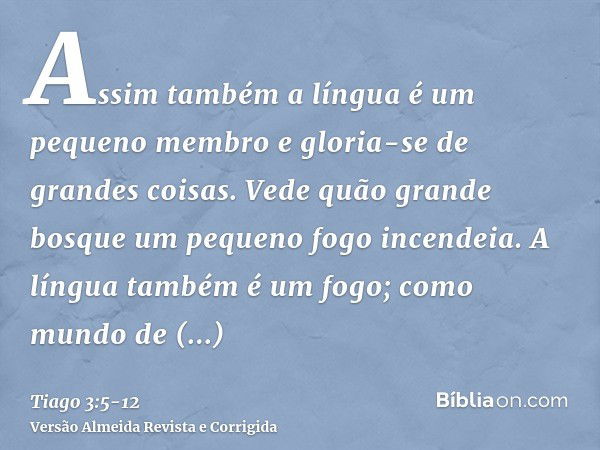 Assim também a língua é um pequeno membro e gloria-se de grandes coisas. Vede quão grande bosque um pequeno fogo incendeia.A língua também é um fogo; como mundo