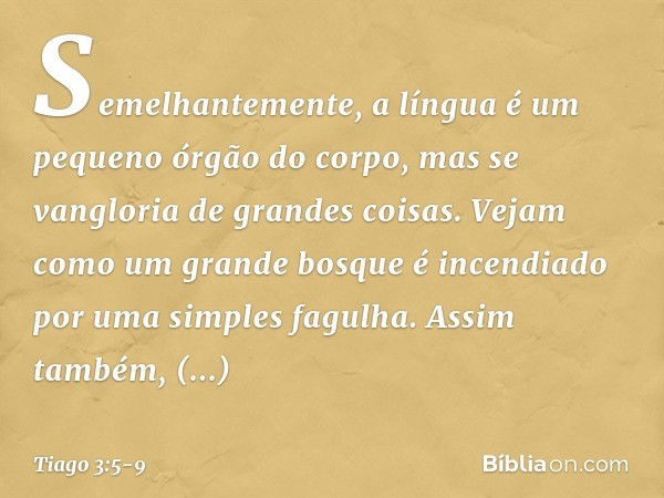 Semelhantemente, a língua é um pequeno órgão do corpo, mas se vangloria de grandes coisas. Vejam como um grande bosque é incendiado por uma simples fagulha. Ass