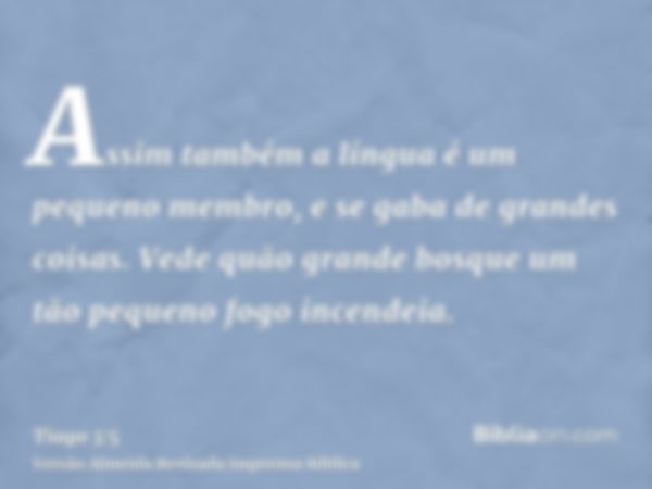 Assim também a língua é um pequeno membro, e se gaba de grandes coisas. Vede quão grande bosque um tão pequeno fogo incendeia.