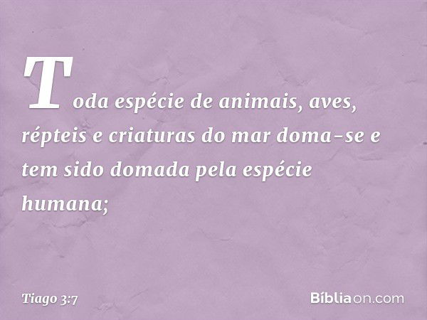 Toda espécie de animais, aves, répteis e criaturas do mar doma-se e tem sido domada pela espécie humana; -- Tiago 3:7