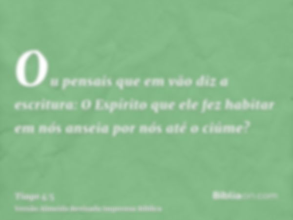 Ou pensais que em vão diz a escritura: O Espírito que ele fez habitar em nós anseia por nós até o ciúme?