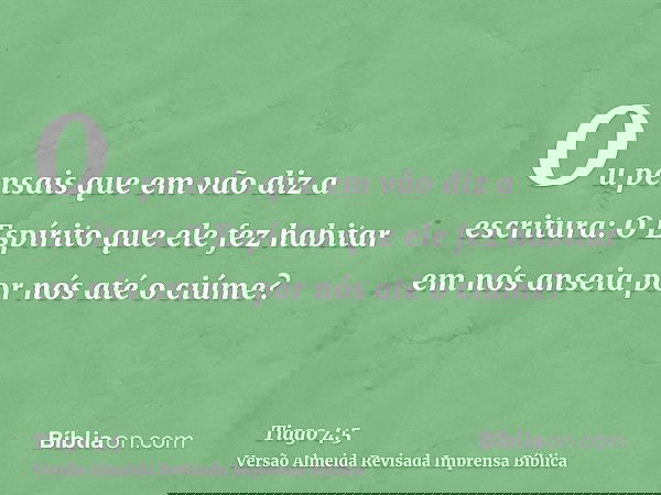 Ou pensais que em vão diz a escritura: O Espírito que ele fez habitar em nós anseia por nós até o ciúme?