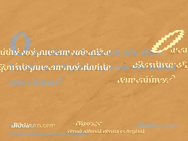 Ou cuidais vós que em vão diz a Escritura: O Espírito que em nós habita tem ciúmes?