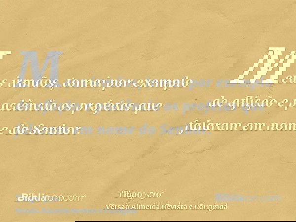 Meus irmãos, tomai por exemplo de aflição e paciência os profetas que falaram em nome do Senhor.