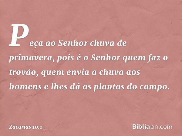 Peça ao Senhor
chuva de primavera,
pois é o Senhor quem faz o trovão,
quem envia a chuva aos homens
e lhes dá as plantas do campo. -- Zacarias 10:1