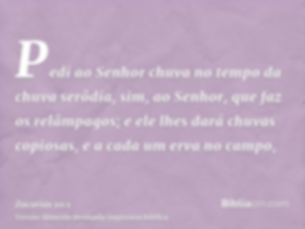 Pedi ao Senhor chuva no tempo da chuva serôdia, sim, ao Senhor, que faz os relâmpagos; e ele lhes dará chuvas copiosas, e a cada um erva no campo,