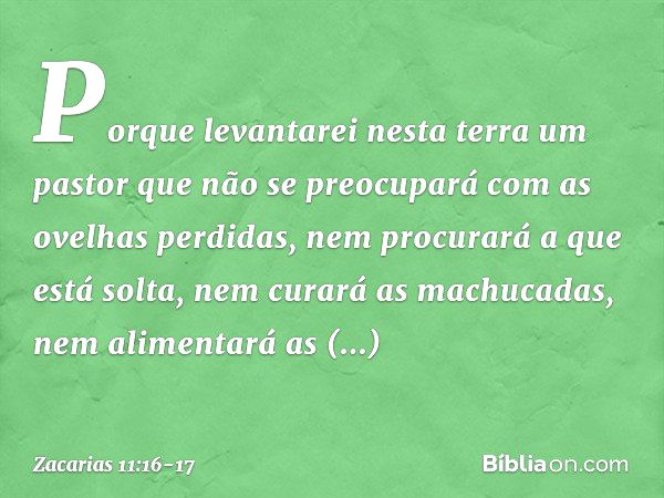 Porque levantarei nesta terra um pastor que não se preocupará com as ovelhas perdi­das, nem procurará a que está solta, nem curará as machucadas, nem alimentará