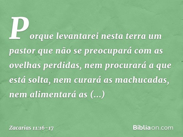 Porque levantarei nesta terra um pastor que não se preocupará com as ovelhas perdi­das, nem procurará a que está solta, nem curará as machucadas, nem alimentará