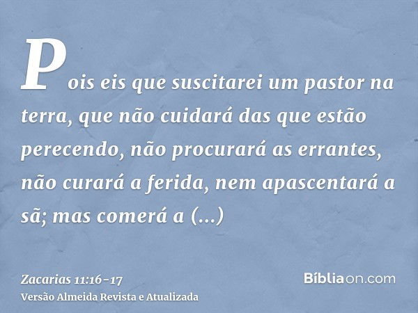 Pois eis que suscitarei um pastor na terra, que não cuidará das que estão perecendo, não procurará as errantes, não curará a ferida, nem apascentará a sã; mas c