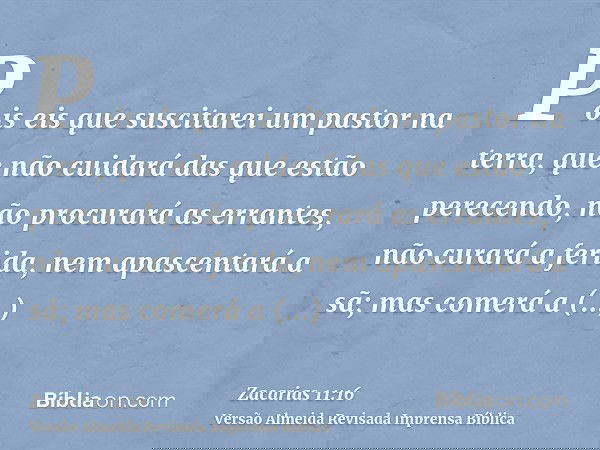 Pois eis que suscitarei um pastor na terra, que não cuidará das que estão perecendo, não procurará as errantes, não curará a ferida, nem apascentará a sã; mas c