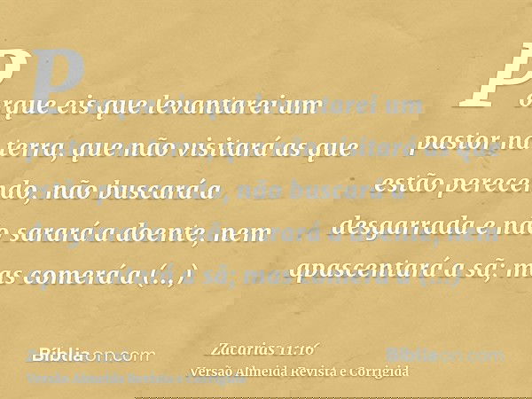 Porque eis que levantarei um pastor na terra, que não visitará as que estão perecendo, não buscará a desgarrada e não sarará a doente, nem apascentará a sã; mas