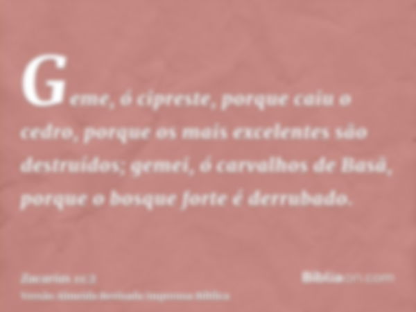 Geme, ó cipreste, porque caiu o cedro, porque os mais excelentes são destruídos; gemei, ó carvalhos de Basã, porque o bosque forte é derrubado.