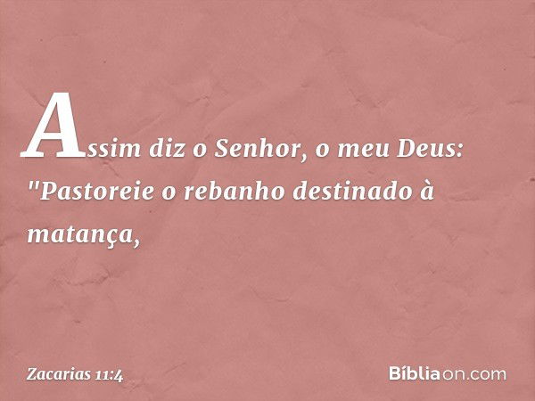 Assim diz o Senhor, o meu Deus: "Pastoreie o rebanho destinado à matança, -- Zacarias 11:4