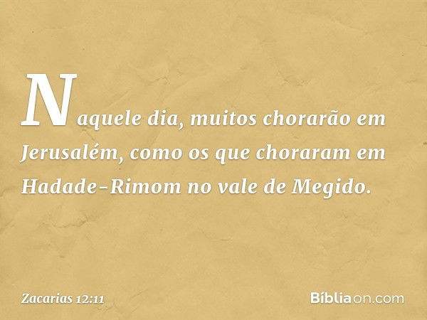 Naquele dia, mui­tos chorarão em Jerusalém, como os que choraram em Hadade-Rimom no vale de Megi­do. -- Zacarias 12:11