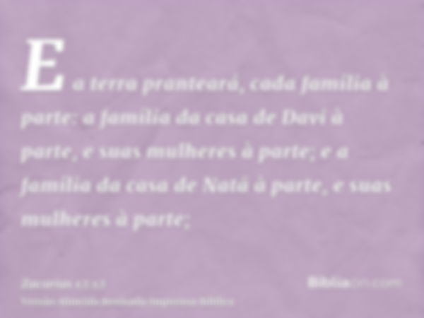 E a terra pranteará, cada família à parte: a família da casa de Davi à parte, e suas mulheres à parte; e a família da casa de Natã à parte, e suas mulheres à pa