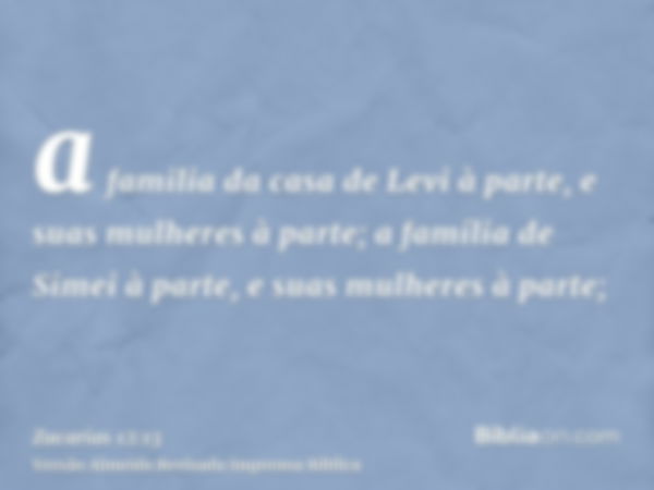 a familia da casa de Levi à parte, e suas mulheres à parte; a família de Simei à parte, e suas mulheres à parte;