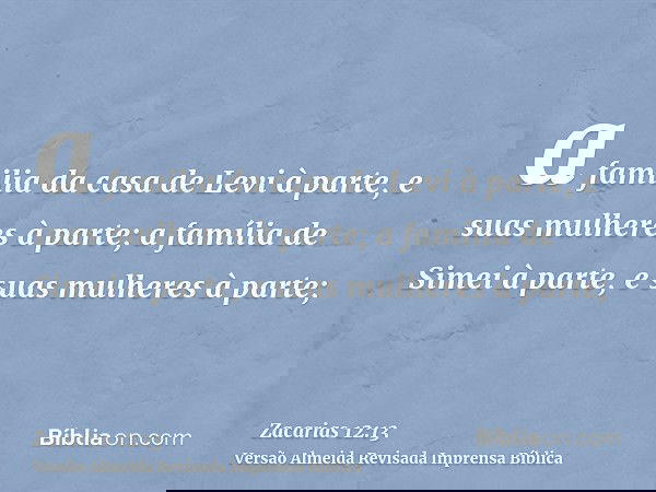 a familia da casa de Levi à parte, e suas mulheres à parte; a família de Simei à parte, e suas mulheres à parte;