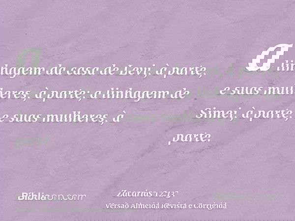 a linhagem da casa de Levi, à parte, e suas mulheres, à parte; a linhagem de Simei, à parte, e suas mulheres, à parte.