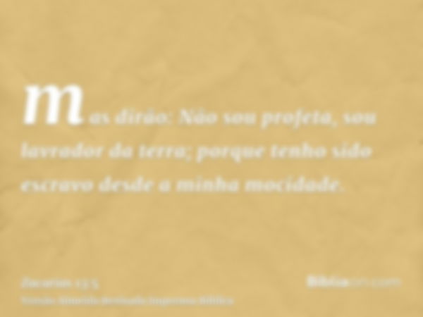 mas dirão: Não sou profeta, sou lavrador da terra; porque tenho sido escravo desde a minha mocidade.