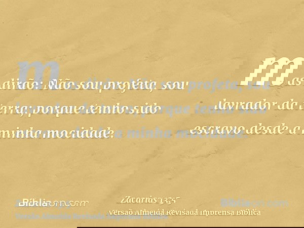 mas dirão: Não sou profeta, sou lavrador da terra; porque tenho sido escravo desde a minha mocidade.