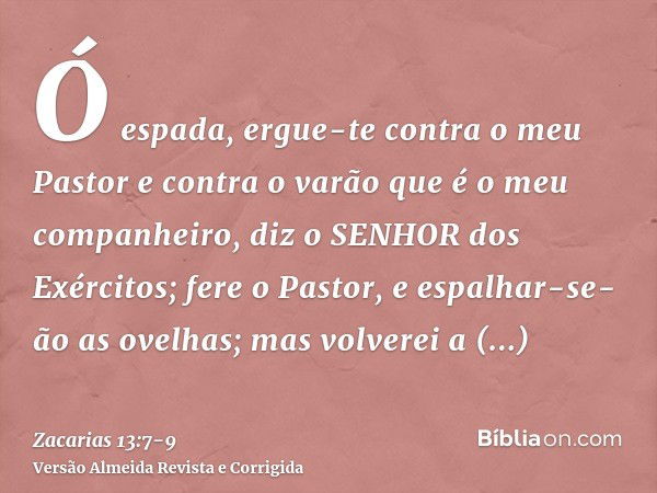 Ó espada, ergue-te contra o meu Pastor e contra o varão que é o meu companheiro, diz o SENHOR dos Exércitos; fere o Pastor, e espalhar-se-ão as ovelhas; mas vol