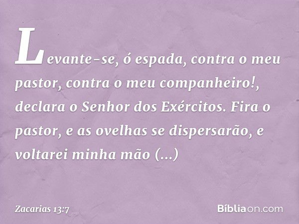 "Levante-se, ó espada,
contra o meu pastor,
contra o meu companheiro!",
declara o Senhor dos Exércitos.
"Fira o pastor,
e as ovelhas se dispersarão,
e voltarei 