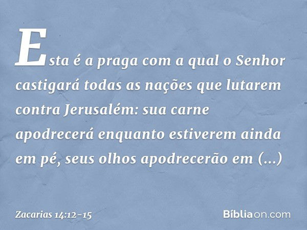 Esta é a praga com a qual o Senhor castigará todas as nações que lutarem contra Jerusalém: sua carne apodrecerá enquanto estiverem ainda em pé, seus olhos apodr