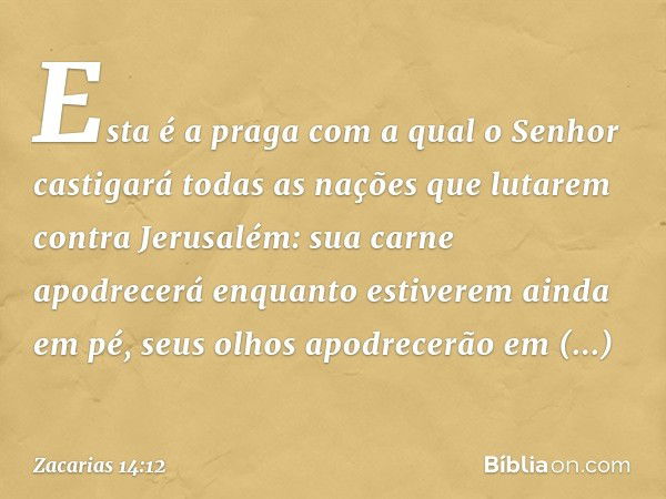 Esta é a praga com a qual o Senhor castigará todas as nações que lutarem contra Jerusalém: sua carne apodrecerá enquanto estiverem ainda em pé, seus olhos apodr