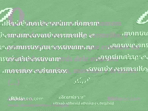 Olhei de noite e vi um homem montado em um cavalo vermelho, e parava entre as murtas que estavam na profundeza; e atrás dele estavam cavalos vermelhos, morenos