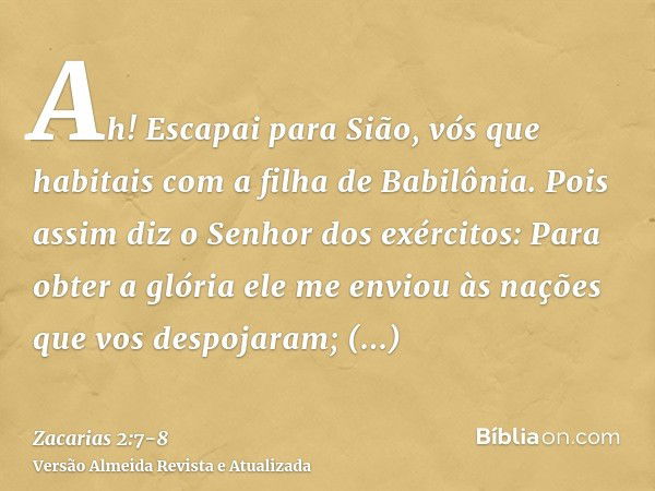 Zacarias 2:8 - Bíblia