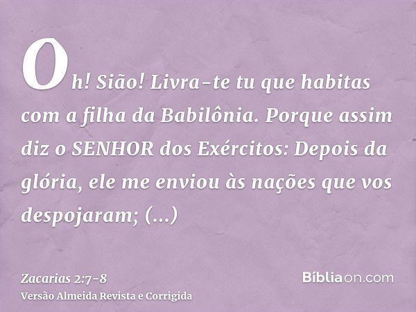 Zacarias 2:8 - Bíblia